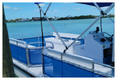 20 foot Bulldog Tri-Toon